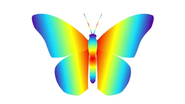 Animado Colorido Mariposa Aletas Alas Vídeo Bucle Ilustración Vectorial Plana — Vídeos de Stock