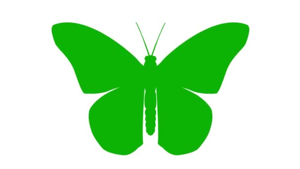 Aletas Mariposa Verde Animada Alas Vídeo Bucle Ilustración Vectorial Plana — Vídeos de Stock