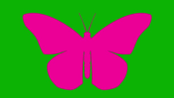 Animierter Rosafarbener Schmetterling Flattert Mit Flügeln Video Schleife Flache Magenta — Stockvideo