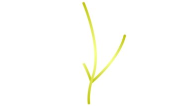 Yapraklı doğrusal altın bitki. Ağaç filizi ikonu. Sembol yavaş yavaş çizilir. Organik gıda, ekoloji, tarım, hasat kavramı. Vektör illüstrasyonu beyaz arkaplanda izole edildi.