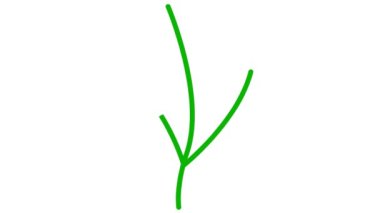 Yapraklı doğrusal yeşil bitki. Ağaç filizi ikonu. Sembol yavaş yavaş çizilir. Organik gıda, ekoloji, tarım, hasat kavramı. Vektör illüstrasyonu beyaz arkaplanda izole edildi.