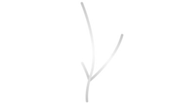 Yapraklı doğrusal gümüş bitkisi. Ağaç filizi ikonu. Sembol yavaş yavaş çizilir. Organik gıda, ekoloji, tarım, hasat kavramı. Vektör illüstrasyonu beyaz arkaplanda izole edildi.