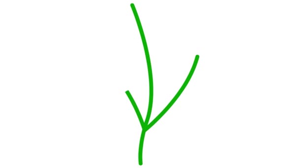 Animowane Liniowe Zielone Rośliny Liśćmi Ikona Kiełków Drzew Symbol Jest — Wideo stockowe