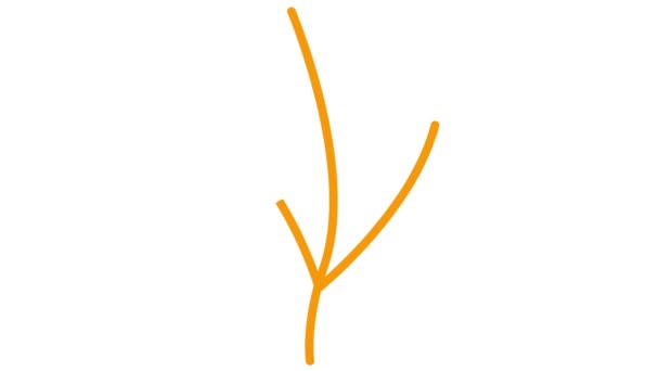 有叶子的有生气的线形橙色植物 一丛树发芽 符号是逐渐画出来的 有机食品的概念 农艺学 在白色背景上孤立的向量图 — 图库视频影像