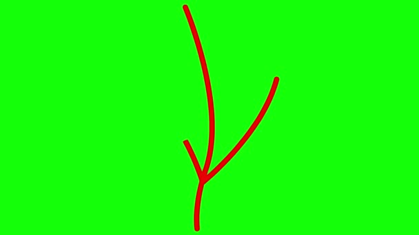 有叶子的有生命的线形红色植物 一丛树发芽 符号是逐渐画出来的 有机食品的概念 农艺学 在绿色背景上孤立的向量图 — 图库视频影像