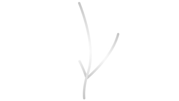有叶子的有生命的线形银色植物 一丛树发芽 符号是逐渐画出来的 有机食品的概念 农艺学 在白色背景上孤立的向量图 — 图库视频影像