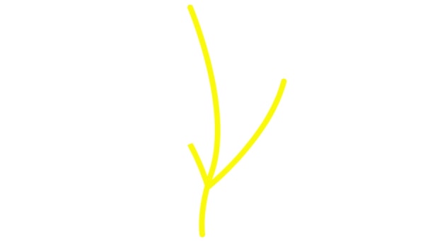 有叶子的有生气的线形黄色植物 一丛树发芽 符号是逐渐画出来的 有机食品的概念 农艺学 在白色背景上孤立的向量图 — 图库视频影像