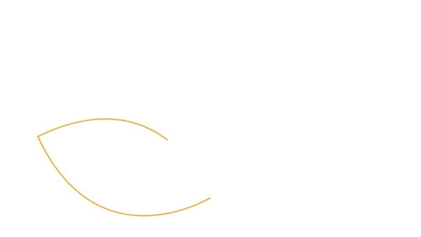 生动的橙色线莲图标 符号是逐渐画出来的 瑜伽的概念 在白色背景上孤立的向量图 — 图库视频影像