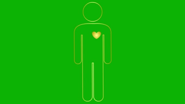 Анимированный Золотой Линейный Символ Человека Зацикленное Видео Бьющегося Сердца Люди — стоковое видео