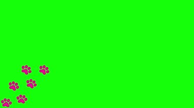 Animasyon kedi pembe izleri. Bir kedinin macenta pençe izi arka arkaya görünür. Döngülü video. Yeşil arkaplanda izole edilmiş vektör düz illüstrasyon.