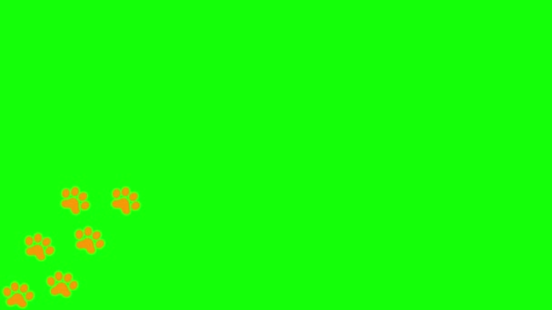 动画猫橙色的痕迹 一只猫的爪子印出现在一条线上 循环视频 在绿色背景上孤立的矢量平面插图 — 图库视频影像