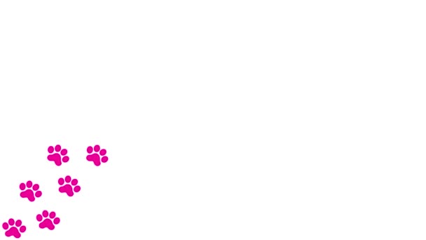 Trilhas Animadas Gato Rosa Impressão Pata Magenta Gato Aparece Reveze — Vídeo de Stock