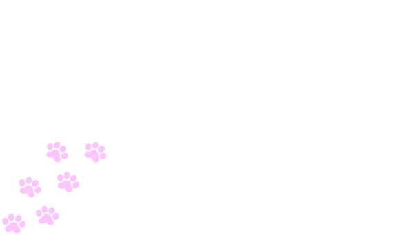 动画猫粉色的痕迹 一只猫的爪子印出现在一条线上 循环视频 白色背景上孤立的矢量平面插图 — 图库视频影像