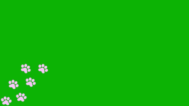 动画猫粉色的痕迹 一只猫的爪子印出现在一条线上 循环视频 在绿色背景上孤立的矢量平面插图 — 图库视频影像