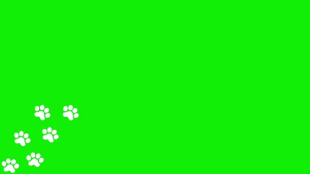 动画猫白色的痕迹 一只猫的爪子印出现在一条线上 循环视频 在绿色背景上孤立的矢量平面插图 — 图库视频影像