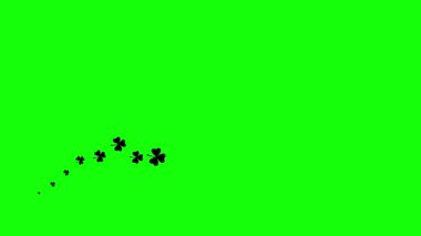 Yonca yaprağının animasyon siyah sembolü. İrlandalı bitki simgesi soldan sağa doğru uçuyor. Bir yonca dalgası. Patrick Günü kavramı. Döngülü video. Düz vektör çizimi beyaz arkaplanda izole edildi.