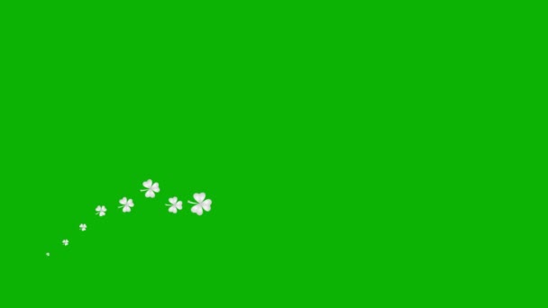 Animowany Srebrny Symbol Liścia Koniczyny Ikona Irlandzkiej Rośliny Latać Lewej — Wideo stockowe