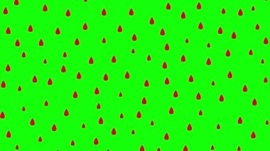 Yukarıdan düşen canlı kırmızı yağmur damlaları. Yağmur yağıyor. Döngülü video. Vektör illüstrasyonu yeşil arkaplanda izole edildi.