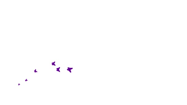 Borboletas Violetas Animadas Voam Esquerda Para Direita Uma Onda Borboletas — Vídeo de Stock