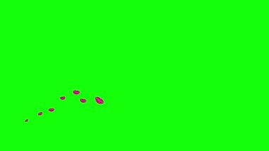 Canlı pembe dudaklar bir dalgada sağdan sola uçar. Öpüşme, aşk, tutku kavramı. Yeşil arkaplanda izole edilmiş kalpler Magenta sembolleri.