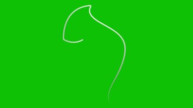 Bir kadının canlandırılmış gümüş çizgisel yüzü yavaş yavaş çizilir. Kurdeleli güzel bir kızın başı. Tek sıra. Güzellik anlayışı. Döngülü video. Vektör illüstrasyonu yeşil arkaplanda izole edildi.