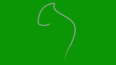 Bir kadının canlı pembe çizgisel yüzü yavaş yavaş çizilir. Kurdeleli güzel bir kızın başı. Tek sıra. Güzellik anlayışı. Döngülü video. Vektör illüstrasyonu yeşil arkaplanda izole edildi.