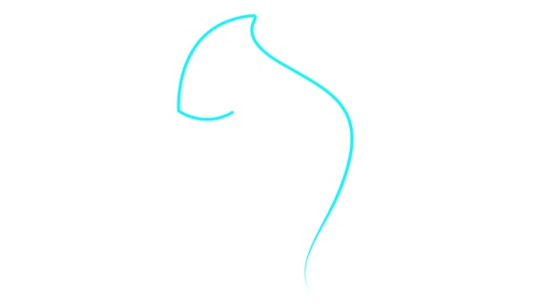 Rosto Linear Azul Animado Uma Mulher Gradualmente Desenhado Cabeça Menina — Vídeo de Stock