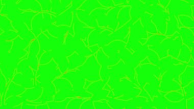 Animasyon doğrusal çiçek arkaplanı. Dal üzerindeki çizgi portakal yaprakları yavaş yavaş çizilir. Bahçıvanlık, ekoloji, doğa kavramı. Vektör illüstrasyonu yeşil arkaplanda izole edildi.