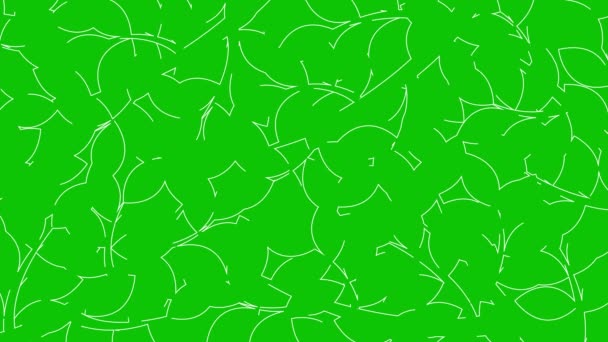 Анімований Лінійний Квітковий Фон Лінія Білого Листя Гілці Малюється Поступово — стокове відео
