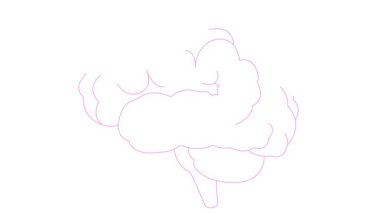 Beynin canlı doğrusal pembe sembolü. Simge yavaş yavaş çizilir. Fikir kavramı, yaratıcılık, zeka, eğitim, akıl sağlığı. Çizgi vektör çizimi beyaz arkaplanda izole edildi.