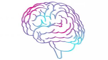 Beynin canlı pembe ve mavi sembolü. Simge titriyor. Fikir kavramı, yaratıcılık, zeka, eğitim, akıl sağlığı. Çizgi vektör çizimi beyaz arkaplanda izole edildi.