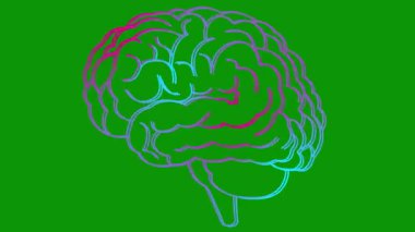 Beynin canlı pembe ve mavi sembolü. Simge titriyor. Fikir kavramı, yaratıcılık, zeka, eğitim, akıl sağlığı. Çizgi vektör çizimi yeşil arkaplanda izole edildi.