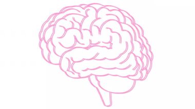 Beynin canlı doğrusal pembe sembolü. Simge titriyor. Fikir kavramı, yaratıcılık, zeka, eğitim, akıl sağlığı. Çizgi vektör çizimi beyaz arkaplanda izole edildi.