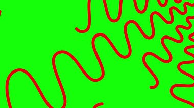 Canlandırılmış kırmızı dekoratif dalgalı çizgiler çizildi. Doğrusal arkaplan. Döngülü video. Vektör illüstrasyonu yeşil arkaplanda izole edildi.