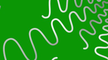Canlandırılmış gümüş renkli dalga çizgileri çiziliyor. Doğrusal arkaplan. Döngülü video. Vektör illüstrasyonu yeşil arkaplanda izole edildi.
