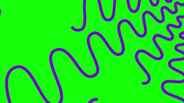 Animasyon menekşe dekoratif dalga çizgileri çizildi. Doğrusal mor arka plan. Döngülü video. Vektör illüstrasyonu yeşil arkaplanda izole edildi.