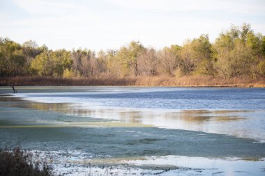 Ağaçlara ve çayırlara götüren berrak mavi su