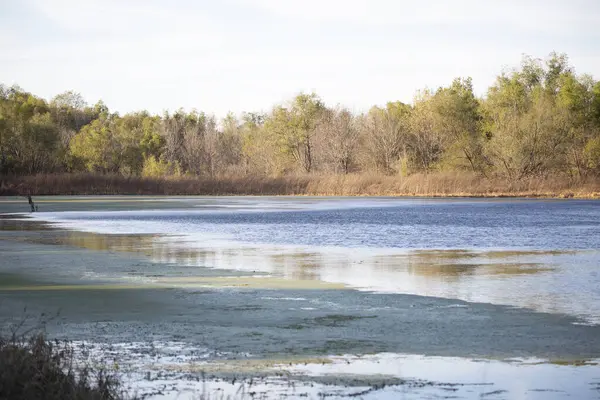 Ağaçlara ve çayırlara götüren berrak mavi su