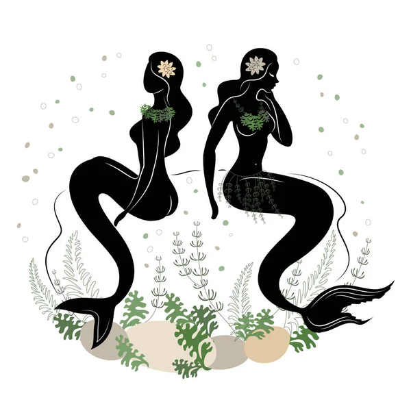 两个美人鱼的轮廓 一个漂亮的女孩坐在水里的石头上 在植物的叶子旁边 童话故事的绝妙形象 矢量图集 — 图库矢量图片