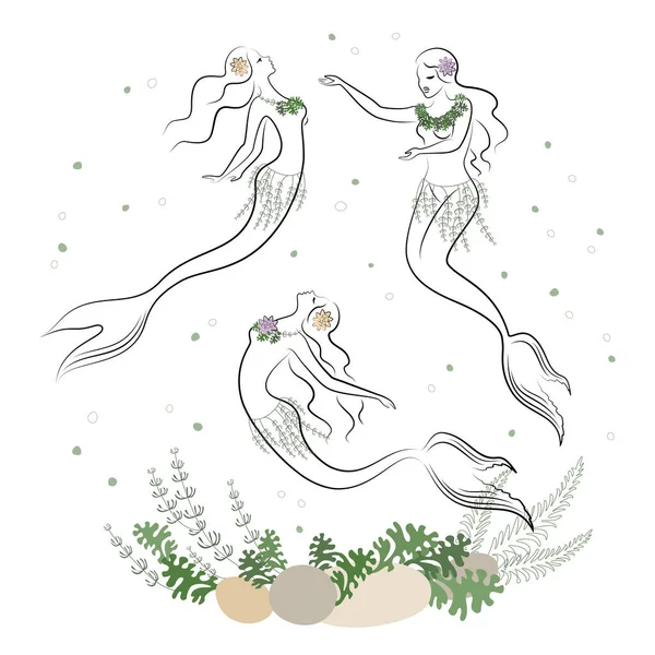 Sellő Sziluett Gyönyörű Lányok Úszkálnak Vízben Táncolnak Hölgy Fiatal Karcsú — Stock Vector