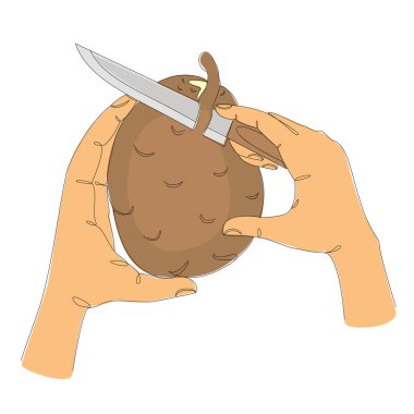 İnsan elinin siluetleri modern tarzda tek sıra halinde. Patatesleri bıçakla soyar. Düz çizgi, çizimler, çıkartmalar, logolar. Vektör illüstrasyonu.