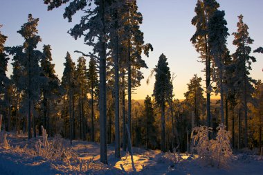 Midday in a skiing area in Levi, Finnish Lapland