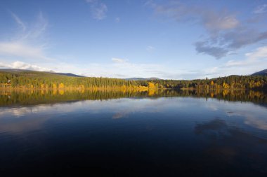 Clearwater, British Columbia 'da güzel bir sonbahar günü