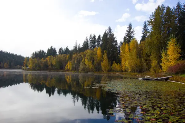 Morgenstimmung Einem See Clearwater British Columbia Stockfoto