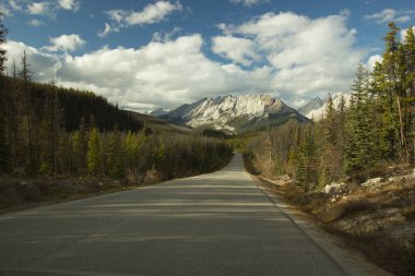 Arka planda çarpıcı bir dağ manzarası olan buz sahaları yolu.