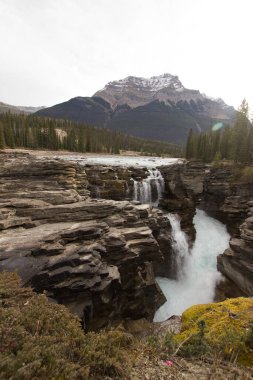 Athabasca bulutlu bir günde Alberta 'ya düşer.