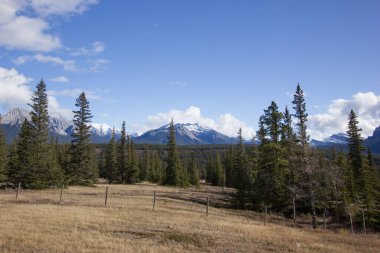 Kızıl Geyik ile Saskatchewan Nehri 'nin kesiştiği yer arasında güzel bir manzara.
