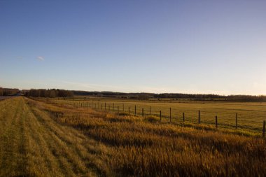 Güzel bir sonbahar gününde Edmonton yakınlarında gün batımı