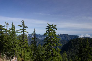 View from Grouse Mountain near Vancouver, Canada