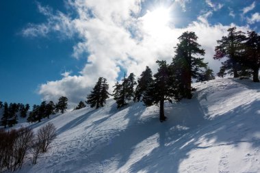 Vasilitsa kayak merkezi Grevena, Yunanistan 'ın karlı yamaçlarında nefes kesici manzara